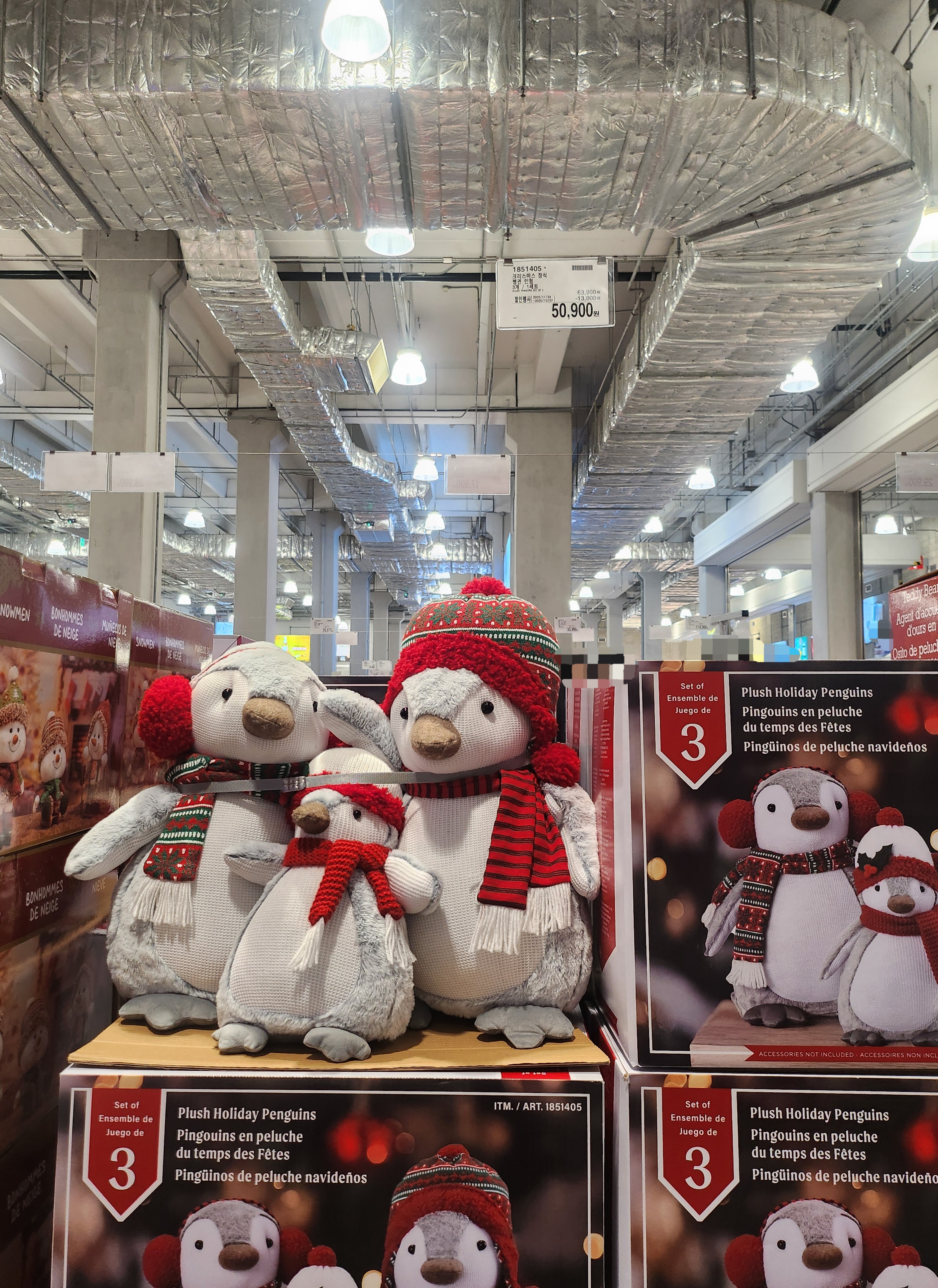 코스트코 일산점 크리스마스 사진 33