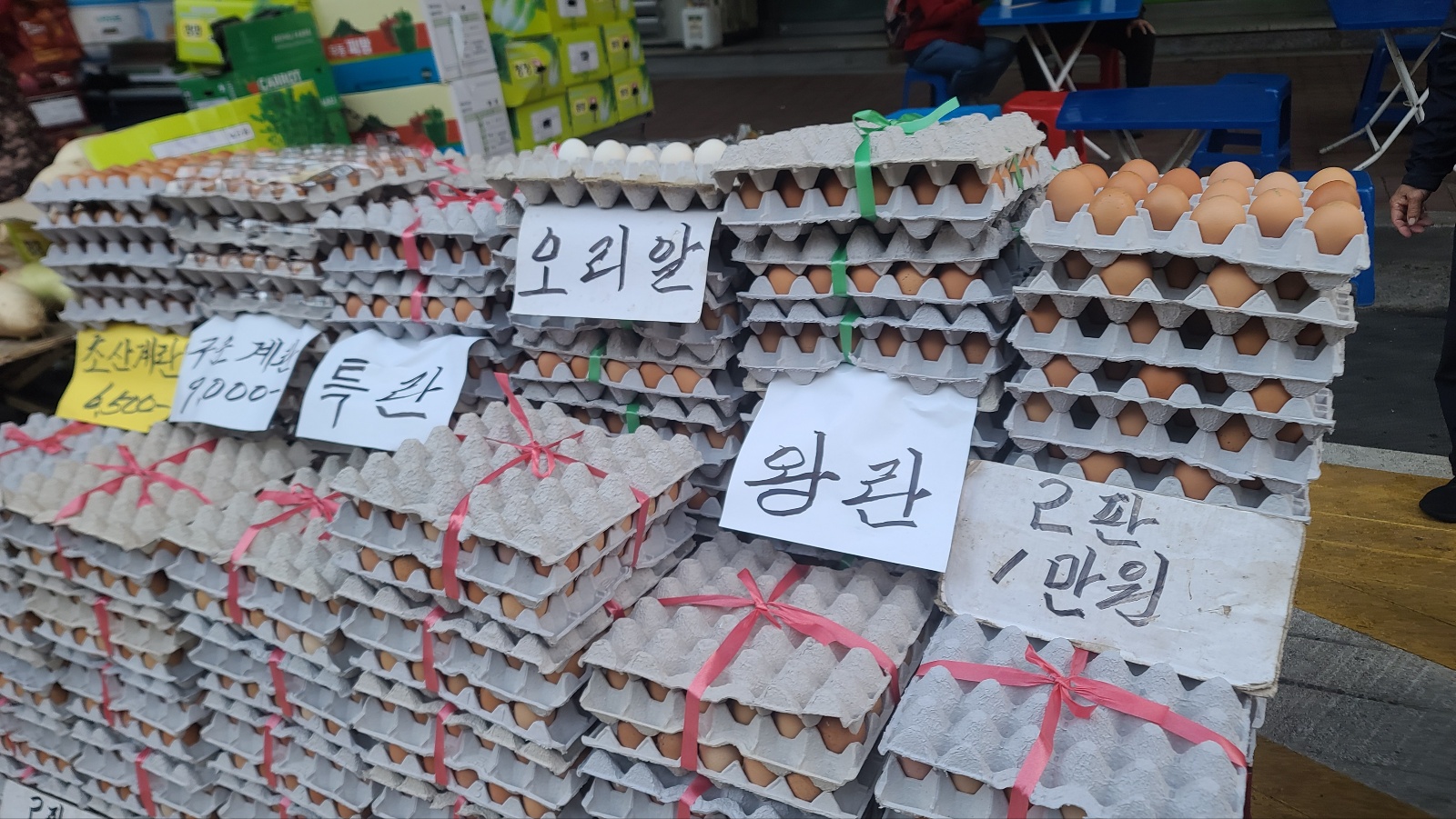 오리알12