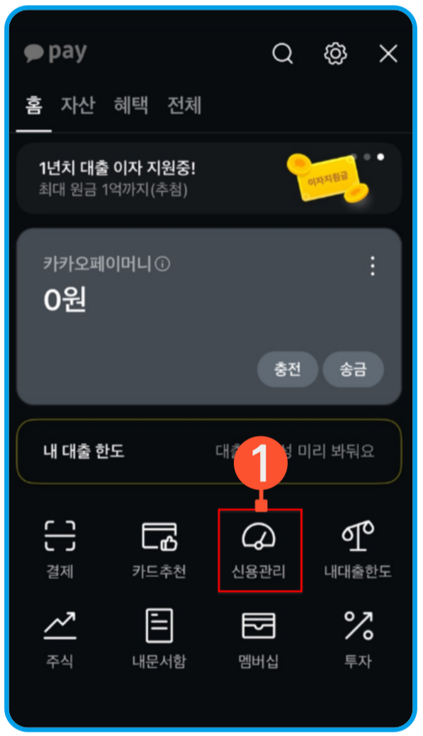 15 카카오 신용점수 조회 3