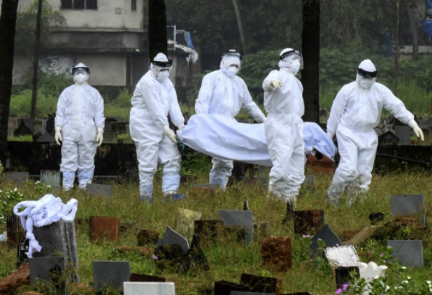 니파바이러스 국내