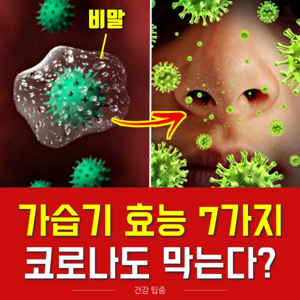 가습기 효능 코골이 코막히 줄이는 방법, 건강 팁줌 매일꿀정보