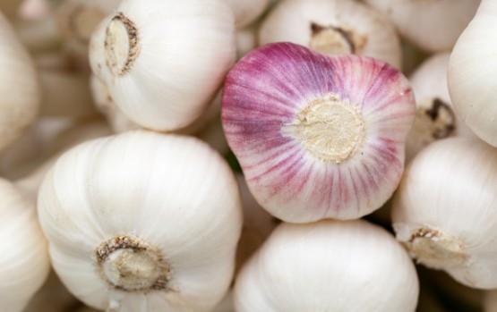 심혈관 질환에 좋은 음식, 예방식품 - 마늘의 효능