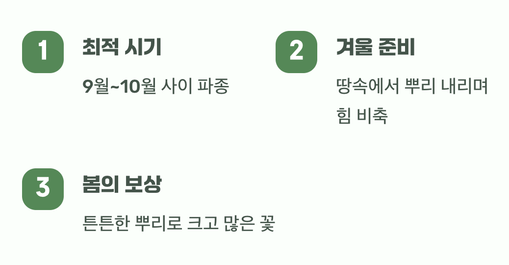 성공의 절반, 가을에 씨앗 뿌리기