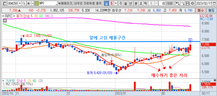 2월 3주차 NPC 단타 매매 일봉 차트