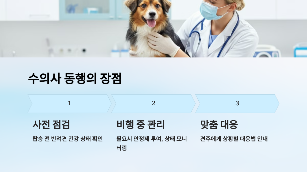 수의사 동행으로 더 안전하게