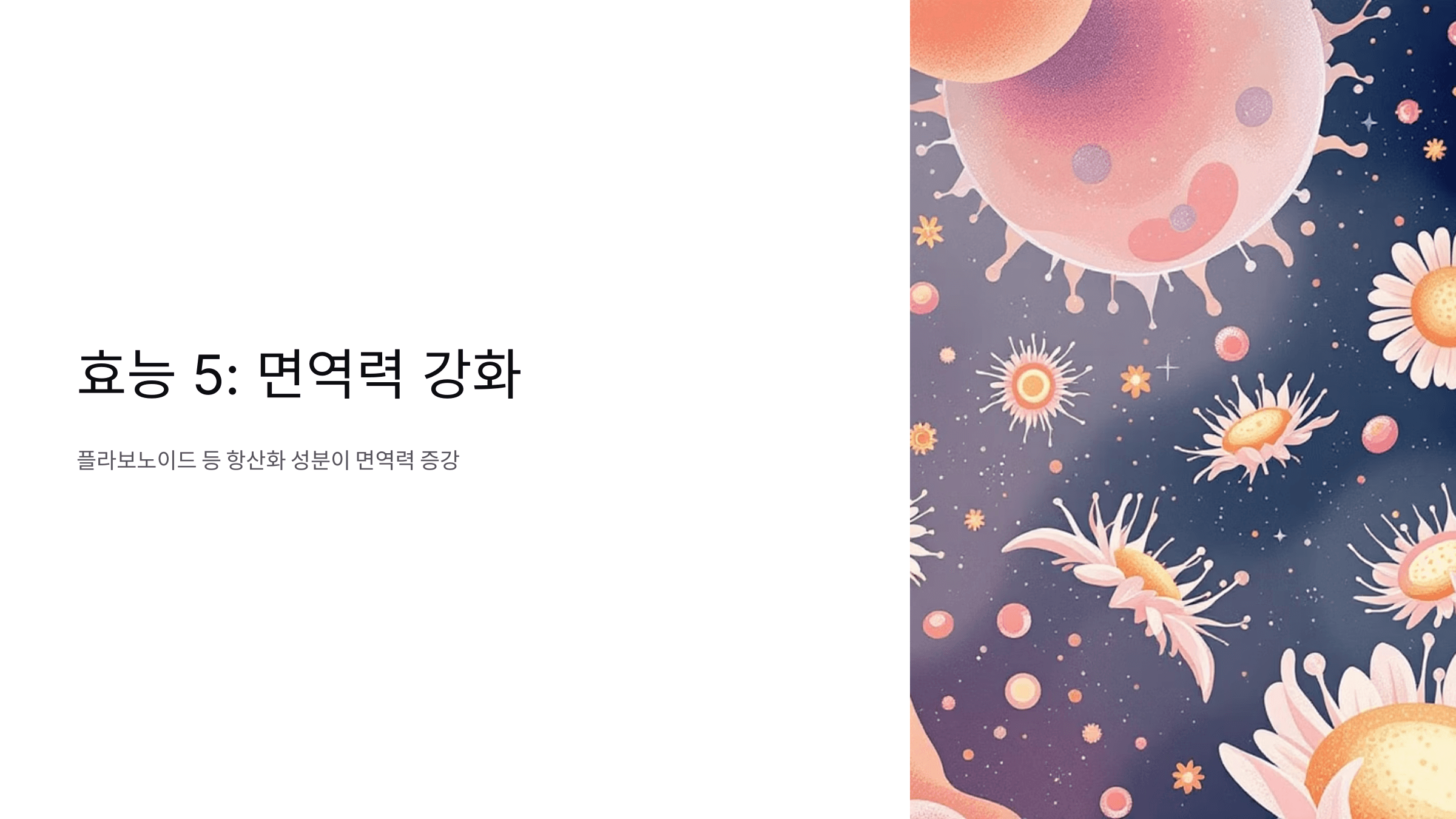 캐모마일차 사진입니다.