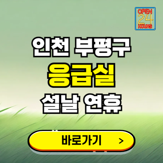 인천 부평구 설날 연휴 비상진료 응급실 병원 찾기 ❘ 내근처 24시 야간 심야 휴일 가능한 곳