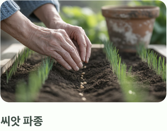 초보자도 OK! 파종과 솎아주기
