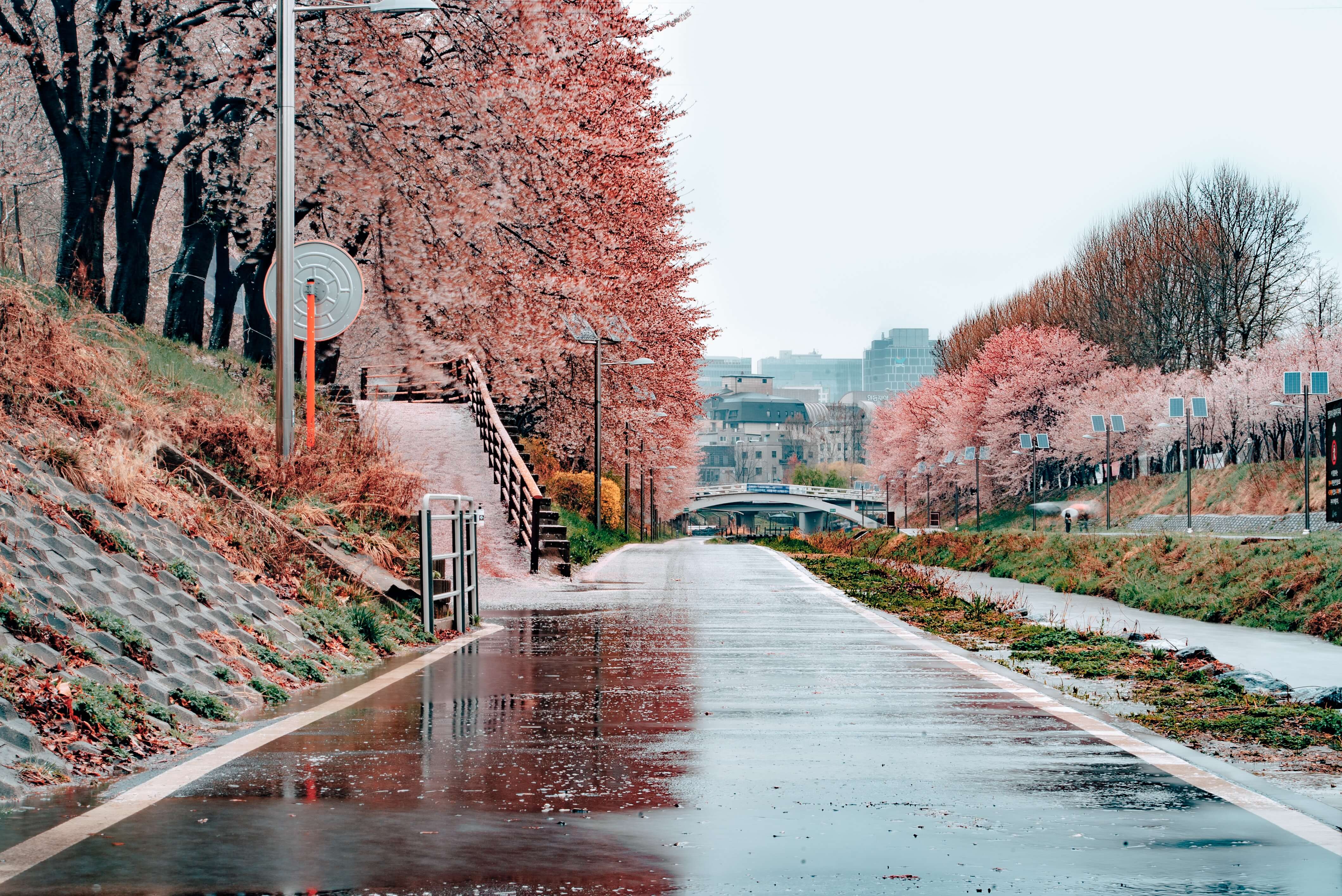 서울이미지