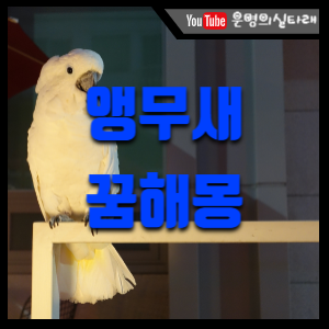 썸네일 사진
