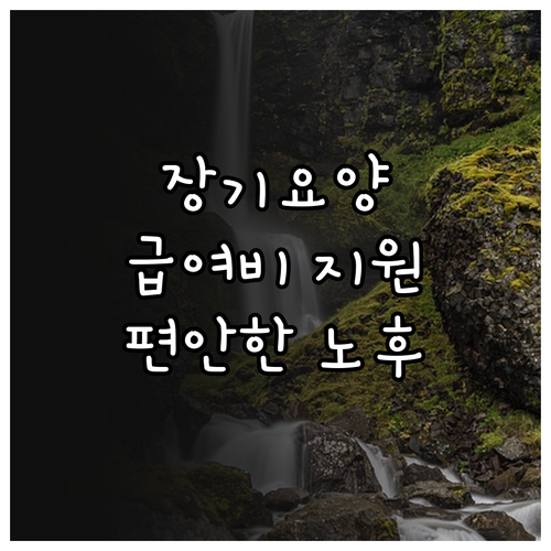 2025 대구 노인 장기요양: 급여비..