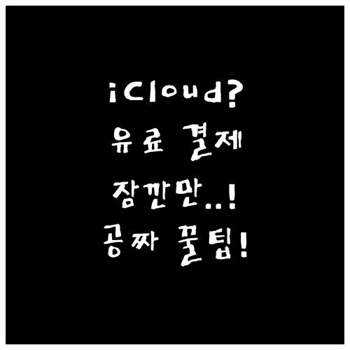 유료 구독 대신 iCloud 저장공간..