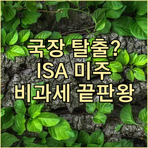 ISA 원화 결제 미국 주식 투자 효..