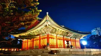 덕수궁 미술관 돌담길 맛집 석조전 돈덕전 입장료_15