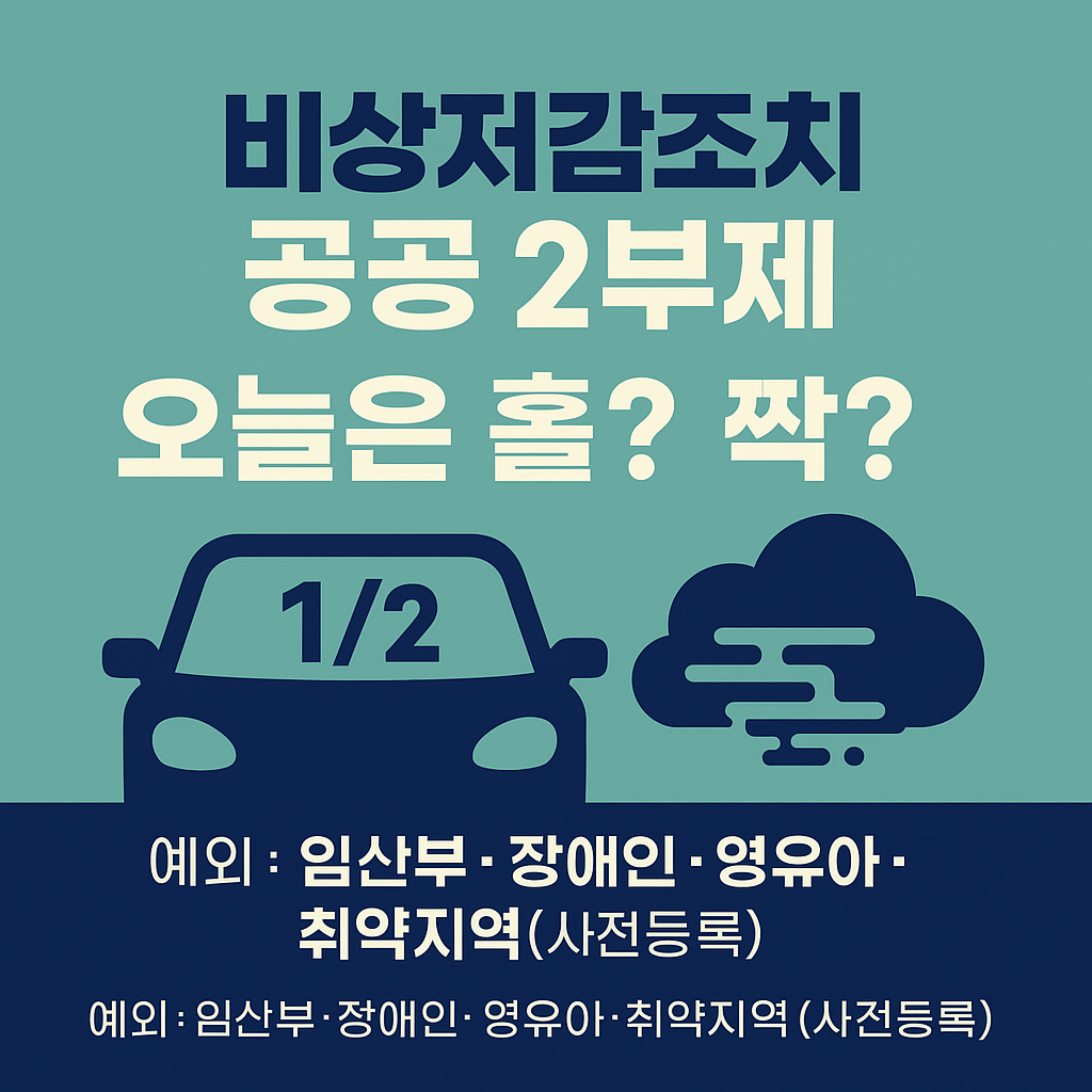“오늘은 홀? 짝? / 예외 대상(임산부·장애인·영유아·취약지역) / 사전등록 3단계”