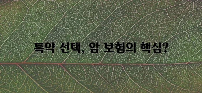 암 보험 종류별 주요 특약, 꼼꼼히 알아봐야겠죠!
