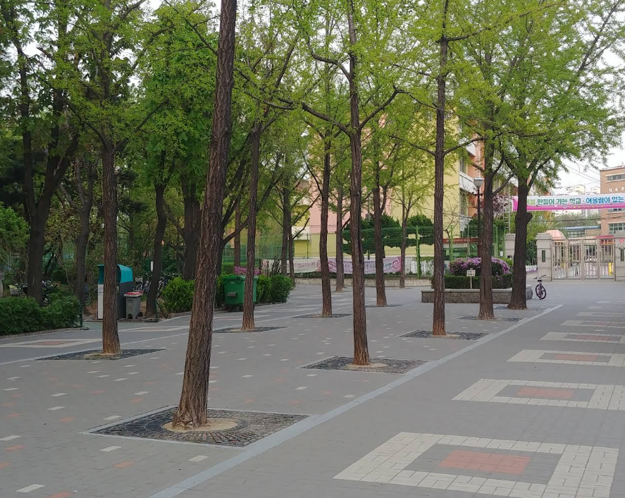 미래 청사진: 49층 고층단지 + 공공시설 집약