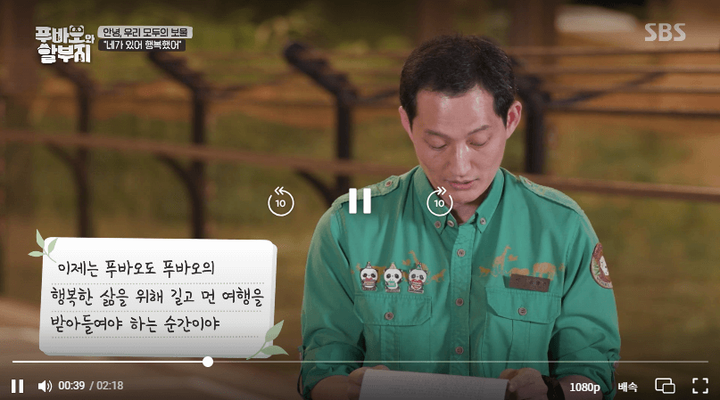 푸바오와 할부지 재방송