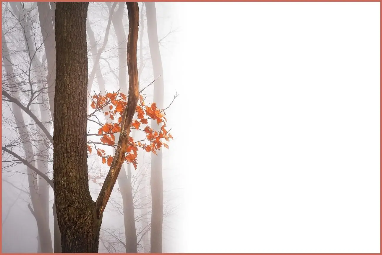 정기예금 금리 가장 높은곳