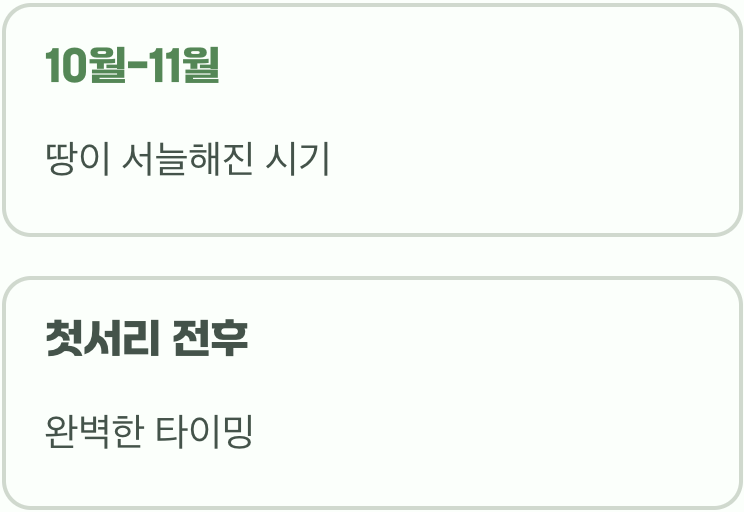 최고의 타이밍, 땅이 얼기 전