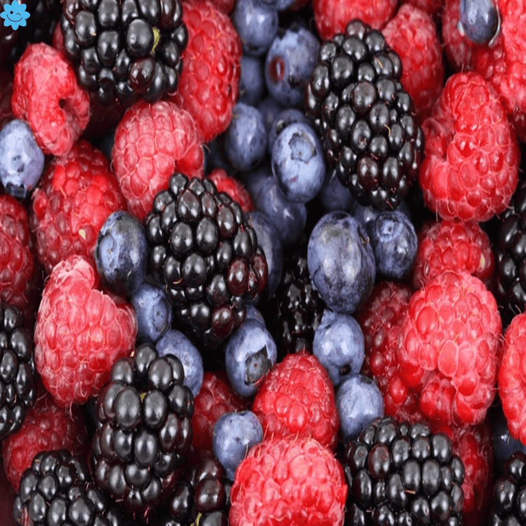 텃밭에서 키우는 과일