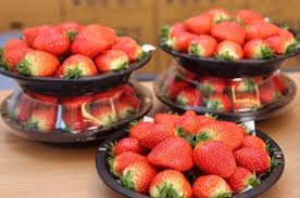 제 14회 밀양 삼랑진 딸기시배지 축제 기본일정과 프로그램 소개