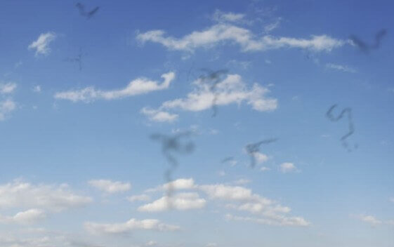 비문증으로 인한 날파리가 날아다니는 모습