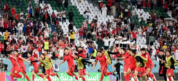 카타르 월드컵 국가대표팀