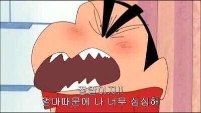 짱구 짤 모음 (대사 찰떡 카톡짤)23