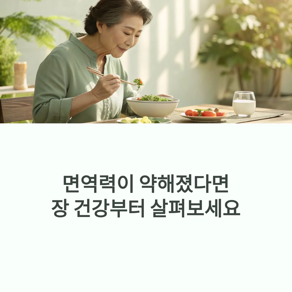 샐러드 식사하는 시니어 여성 이미지