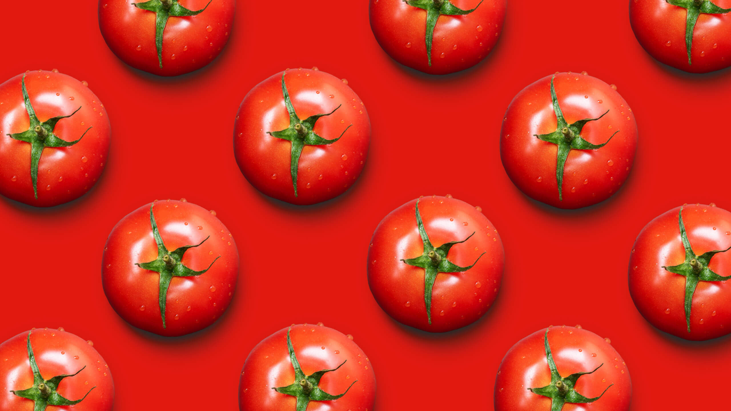 혈당조절에 효능이 있는 토마토