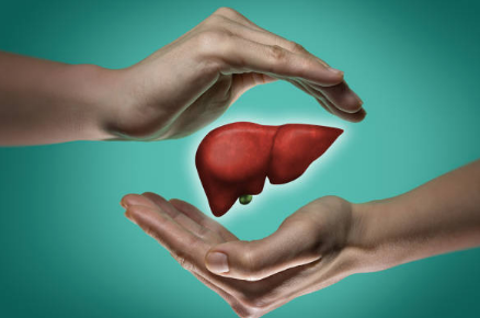 간수치가 높으면 나타나는 증상&amp;#44; 올라가는 이유&amp;#44; 간수치 정상범위 총정리 (2024ver)