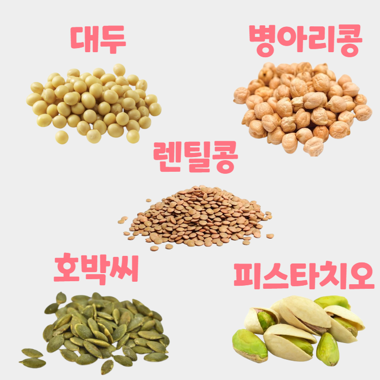 식물성 단백질 식품