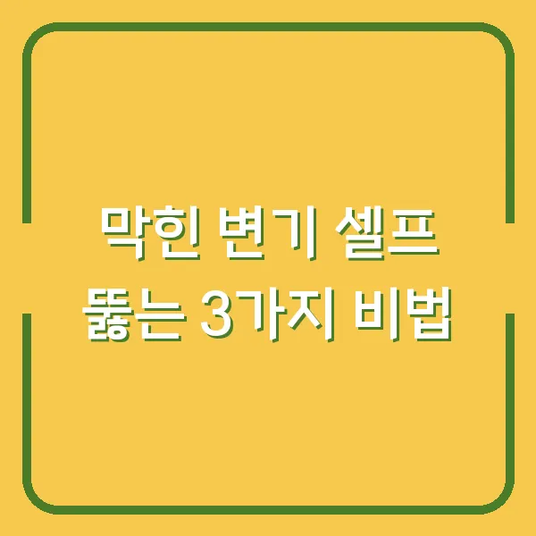 막힌 변기 셀프 뚫는 3가지 비법