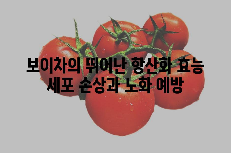 보이차의 뛰어난 항산화 효능 세포 손상과 노화 예방