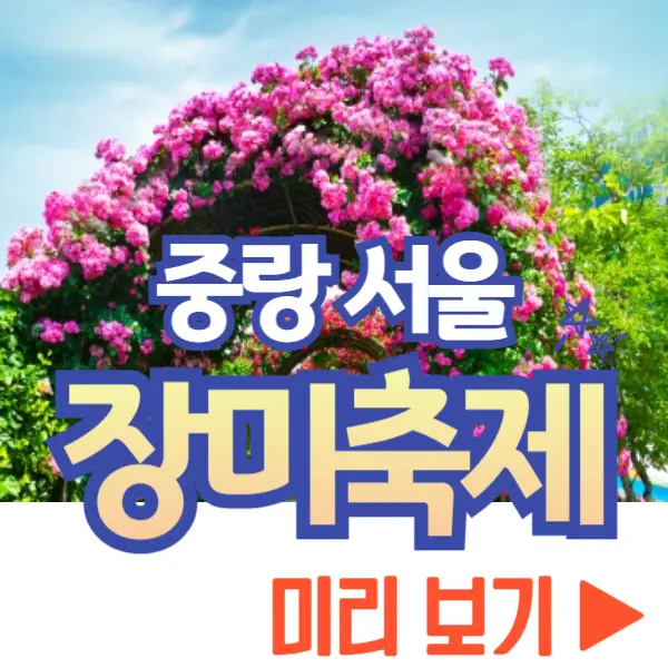 중랑 서울 장미축제