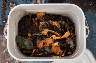 음식물처리기 지원금