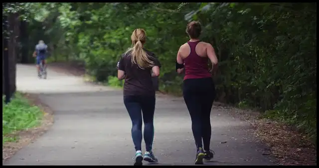 슬로우 조깅 건강법 방법과 효과 (kbs 생로병사의 비밀에서 나온 운동법)
