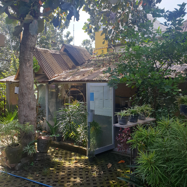 데일리 그라인드 커피(Daily Grind Coffee Shop &amp; Roastery): 발리 짱구 지역 카페 ③_원두 보관 창고