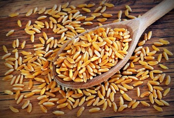 카무트 효능과 호라산밀 효능과 부작용에 대해 알아봤습니다