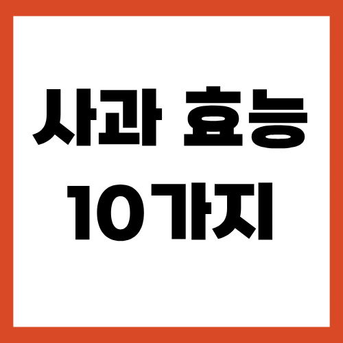 사과효능10가지