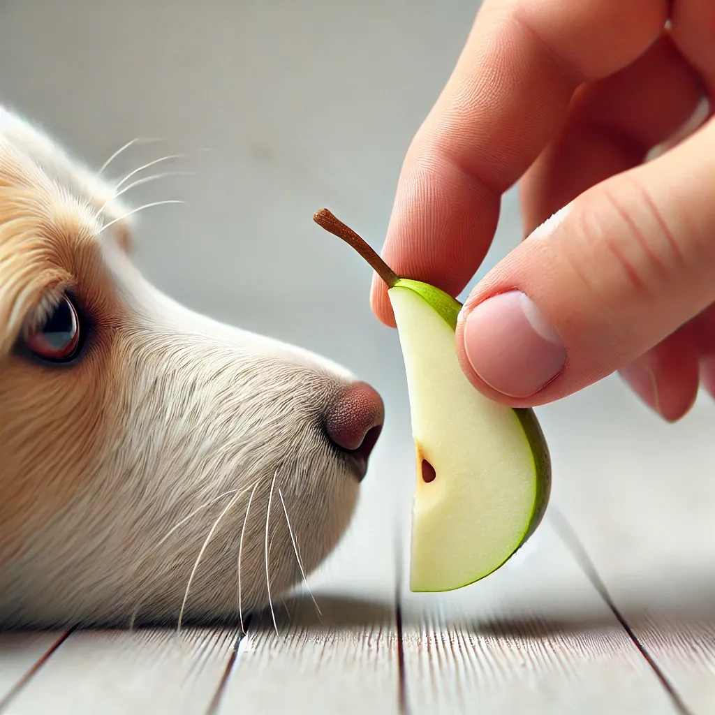 강아지가 배를 먹을 수 있을까? 안전한 급여법과 주의사항