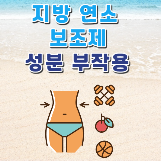 지방 연소 보조제