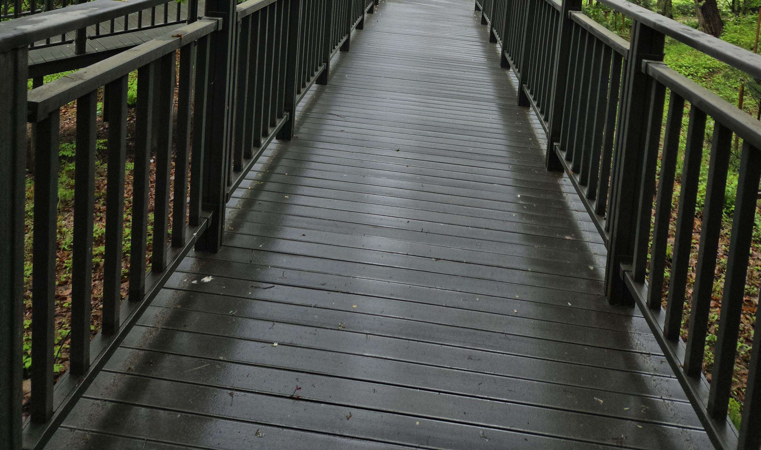 갈림길 위의 설렘, 포천 Y자출렁다리에서 느낀 자연과의 대화