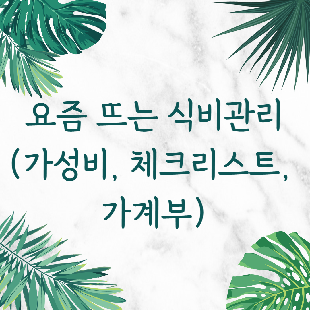 요즘 뜨는 식비관리 (가성비, 체크리스트, 가계부)