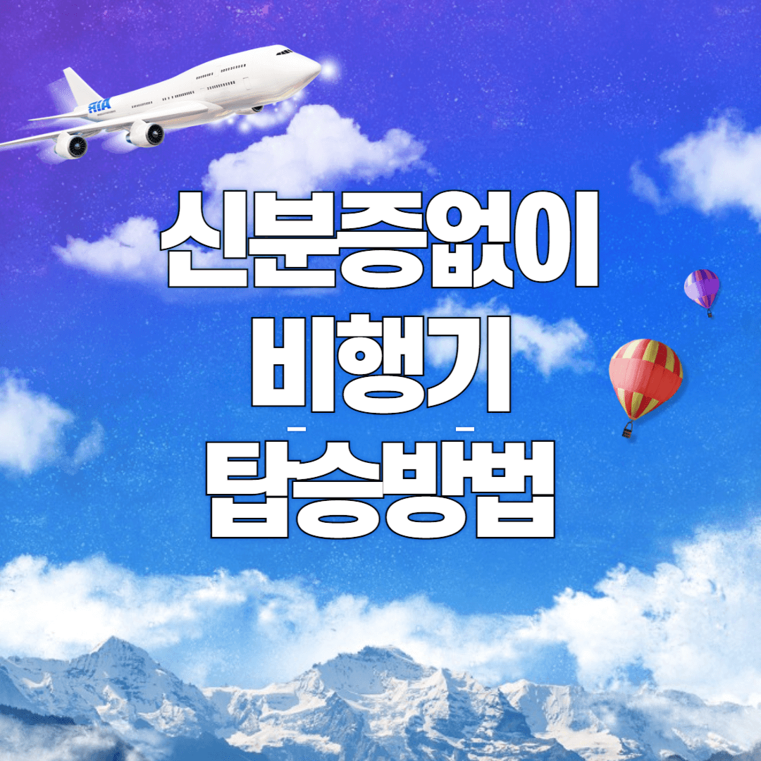 신분증없이 비행기 타기