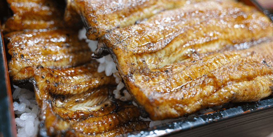 장어와 장어로 만든 음식들 사진 - 15