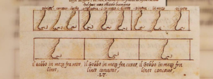 얼굴 방향에 따른 코 모양의 종류까지 구분