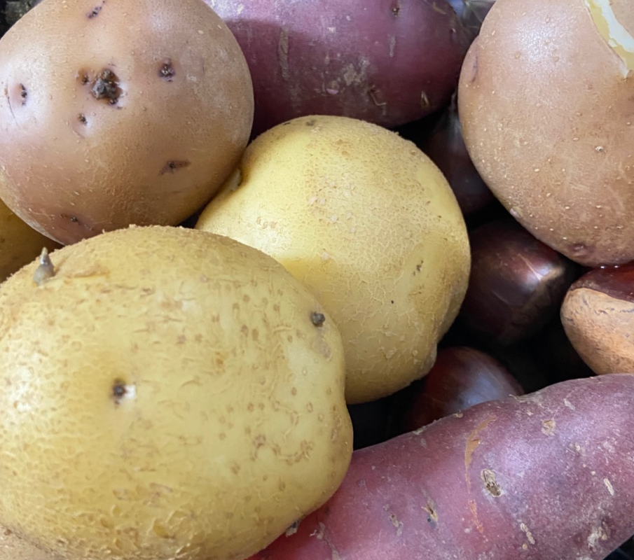 강화도숙소추천 아라펜션