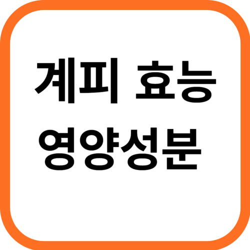 계피 가루 효능 및 영양성분